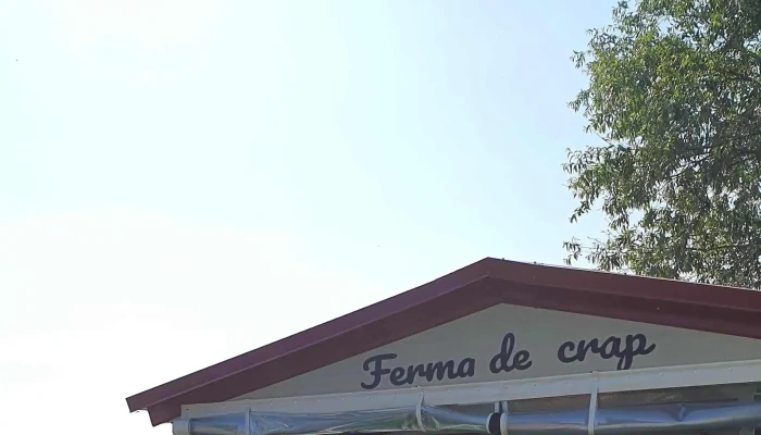 Lacul Diosig -  Cum Să Ajungi Acolo - Romania