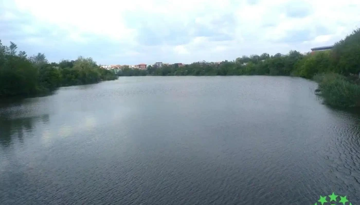 Lacul Dobroești - Romania