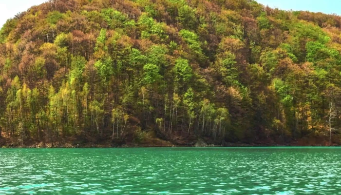 Lacul Doftana -  Promoție - Doftana