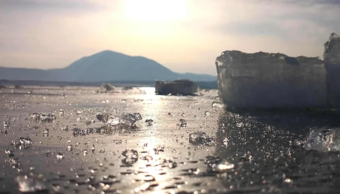Lacul Dumbravita Comentarii - Dumbrăvița
