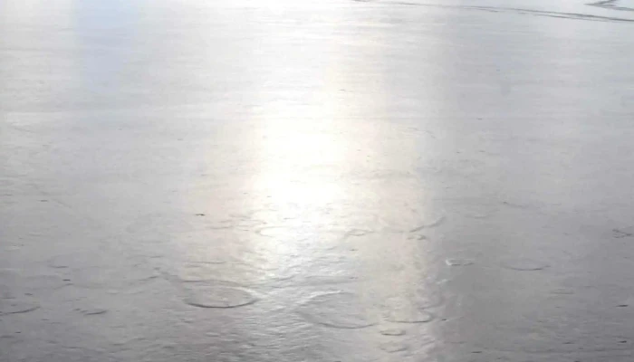 Lacul Dumbravita Dumbrăvița - Dumbrăvița