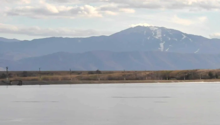 Lacul Dumbravita Fotografii - Dumbrăvița