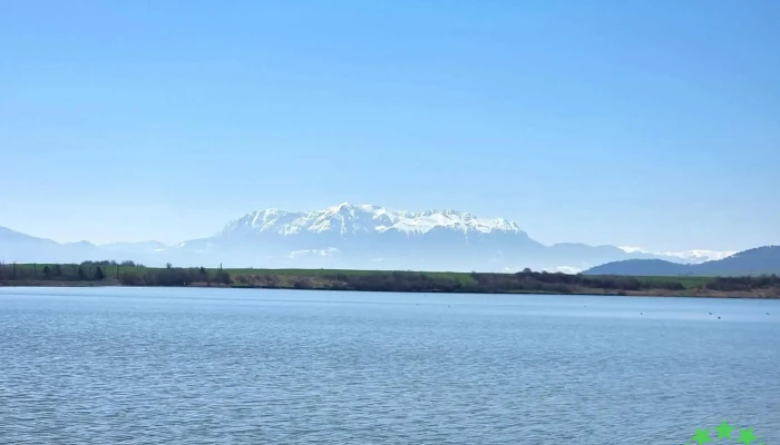 Lacul Dumbravita Munte - Dumbrăvița