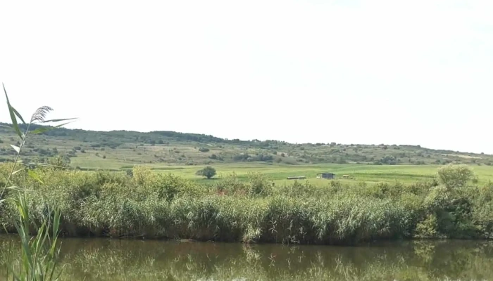 Lacul Faragau Comentarii - Romania