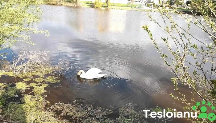 Lacul Filiasi Cele Mai Recente - Filiași