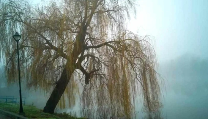 Lacul Filiasi Program - Filiași