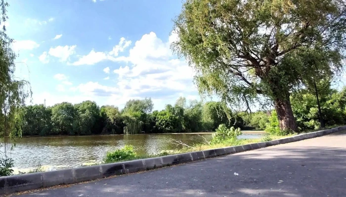 Lacul Filiasi Zonă - Filiași