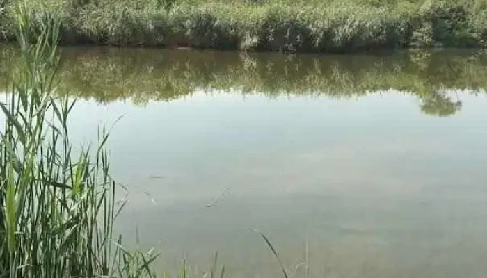 Lacul Fărăgău - Romania
