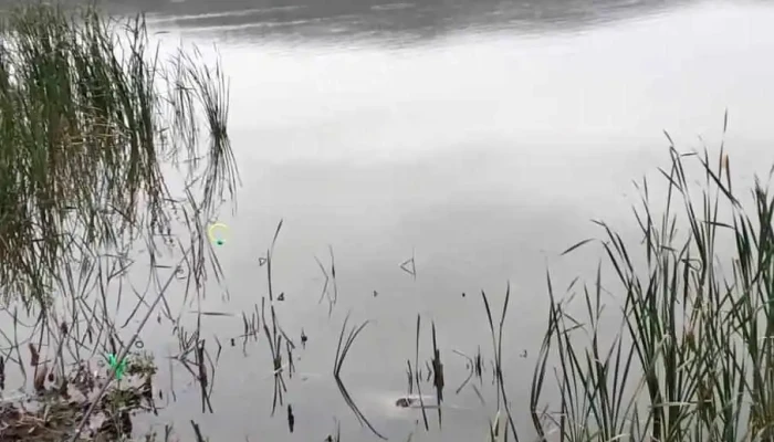 Lacul Gaiceana -  Videoclipuri - Dc66
