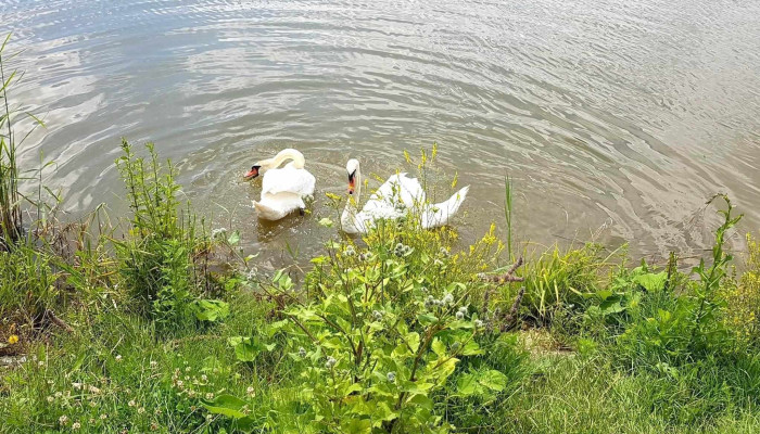 Lacul Geaca Iii -  Instagram - Romania