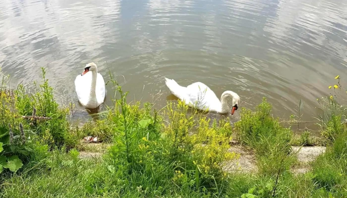 Lacul Geaca Iii -  Recenzii - Romania