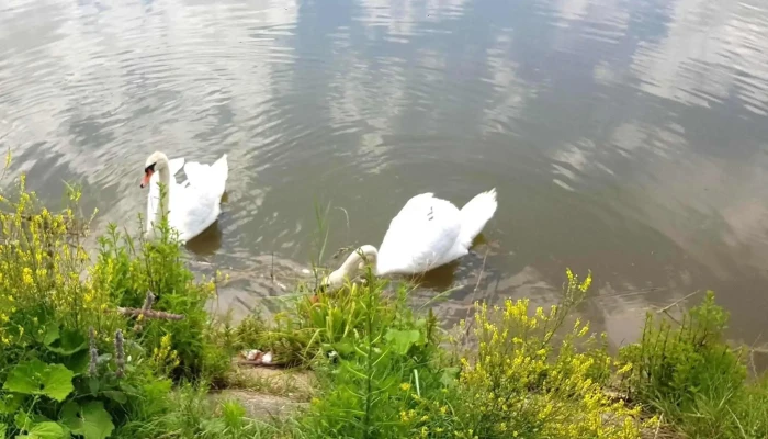 Lacul Geaca Iii -  Videoclipuri - Romania