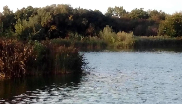 Lacul Ghioroc 1 -  Program - Romania