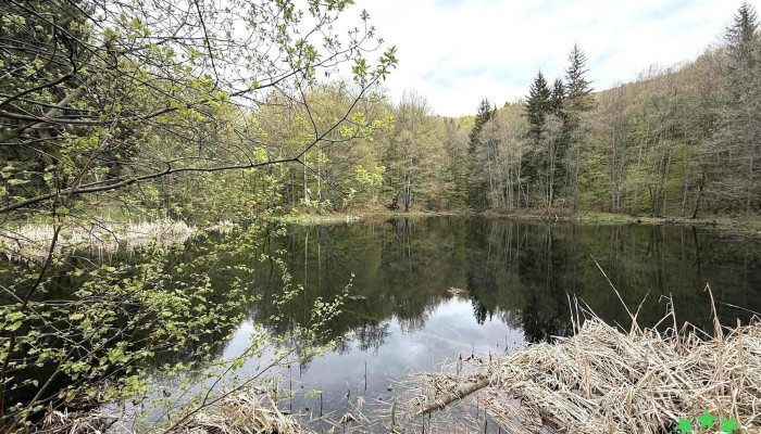 Lacul Hansaru Cele Mai Recente - Romania