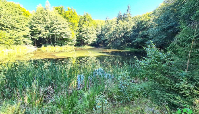 Lacul Hansaru Locație - Romania