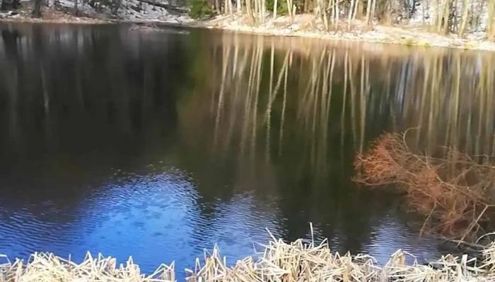 Lacul Hansaru Videoclipuri - Romania