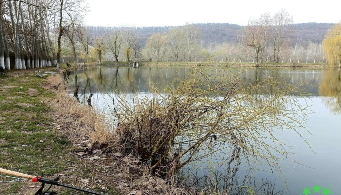 Lacul Lipanesti Cele Mai Recente - Lipănești