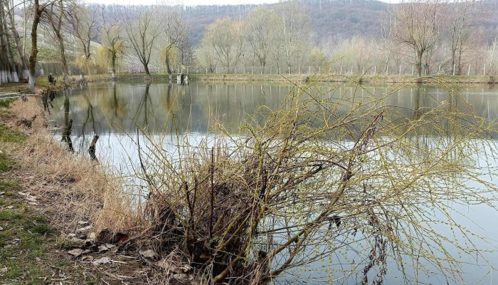 Lacul Lipanesti Site Web - Lipănești