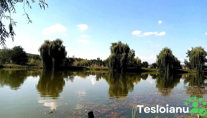 Lacul Lipanesti Videoclipuri - Lipănești