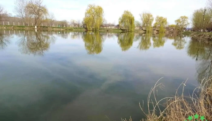 Lacul Lipănești - Lipănești
