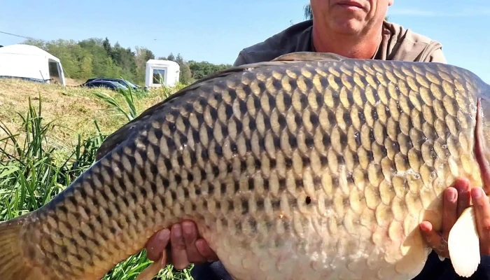 Lacul Moara Vlasiei 2 Aproape De Mine - Moara Vlăsiei