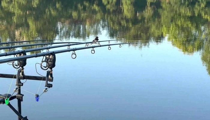Lacul Moara Vlasiei 2 Instagram - Moara Vlăsiei