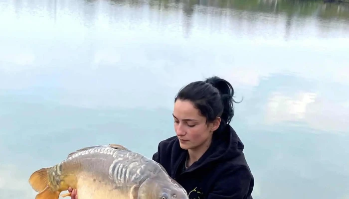 Lacul Moara Vlasiei 2 Site Web - Moara Vlăsiei