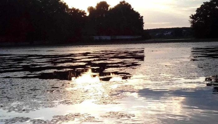 Lacul Mogosoaia Unde - Romania