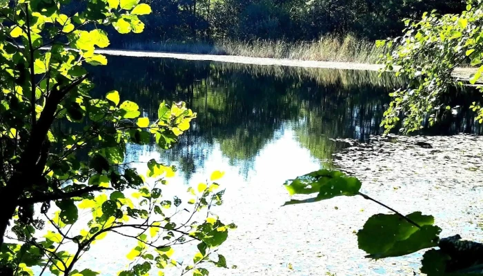 Lacul Morarenilor Prețuri - Romania