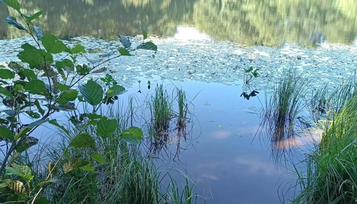 Lacul Morarenilor Promoție - Romania