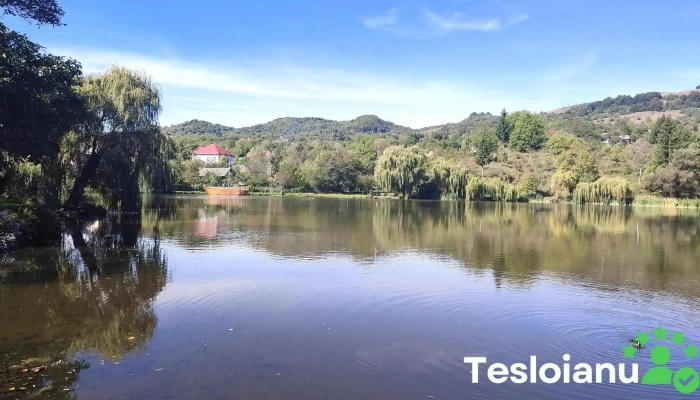 Lacul Nucsoara Munte - Nucșoara