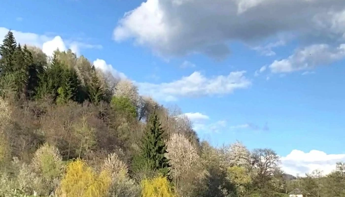 Lacul Nucsoara Prețuri - Nucșoara