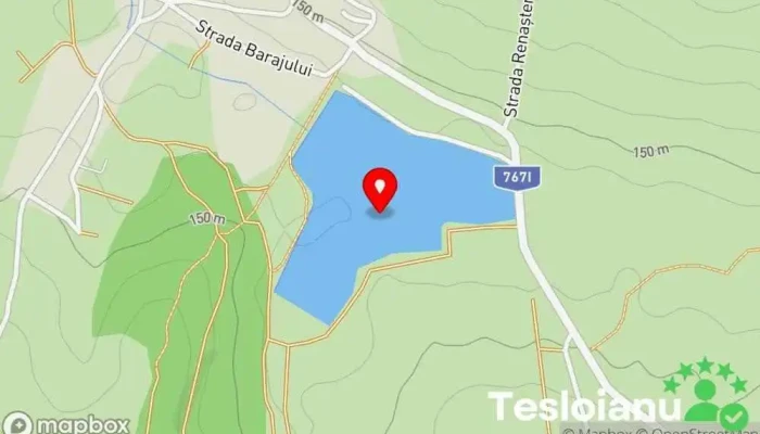 hartă a Lacul Paleu Lac în 