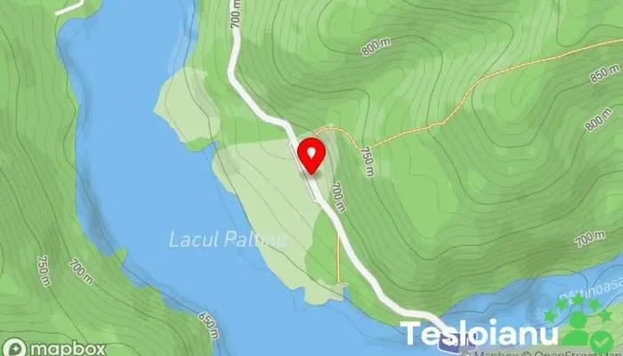 hartă a Lacul Paltinu - Parcare&Camping Atracție turistică în Teșila