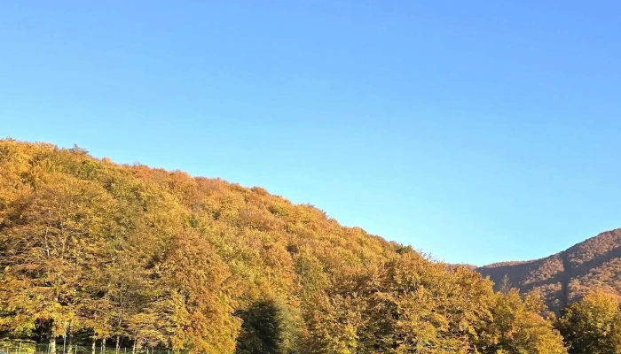 Lacul Paltinu -    Parcarecamping Număr - Teșila