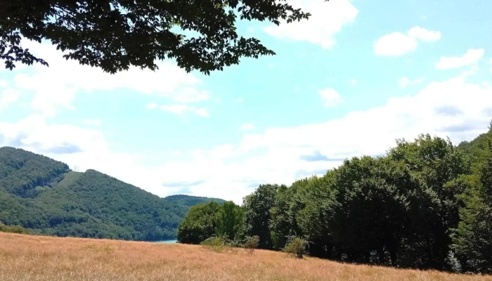 Lacul Paltinu -    Parcarecamping Teșila - Teșila