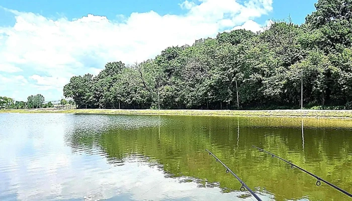 Lacul Paulesti Reduceri - Romania