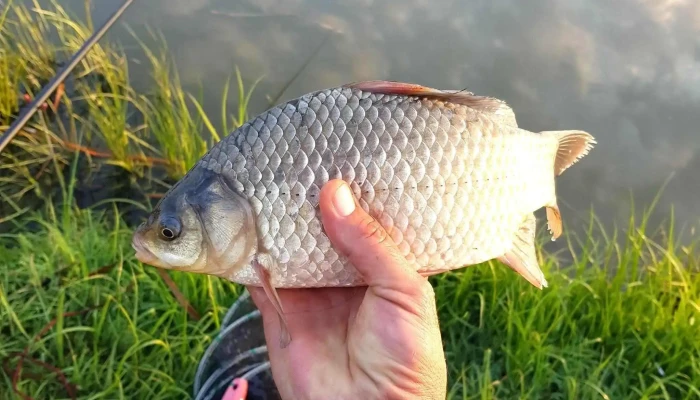 Lacul Peris Promoție - Periș