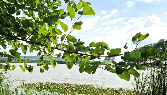 Lacul Pleasa -  Aproape De Mine - Bucov