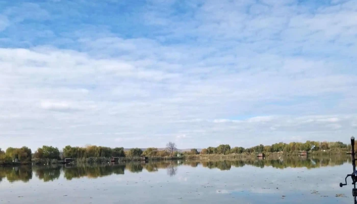 Lacul Pleasa -  Prețuri - Bucov