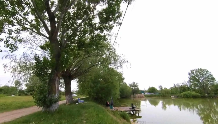 Lacul Pleasa -  Street View Si 360deg - Bucov
