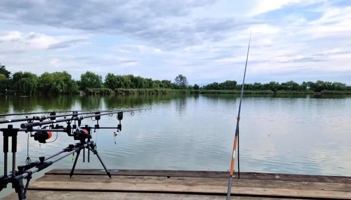 Lacul Pleasa -  Telefon - Bucov