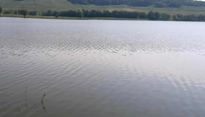 Lacul Pungesti Videoclipuri - Romania