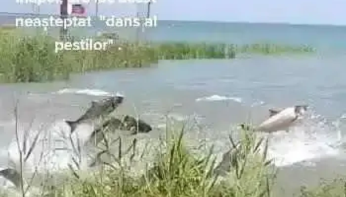 Lacul Suhaia -  Videoclipuri - Romania
