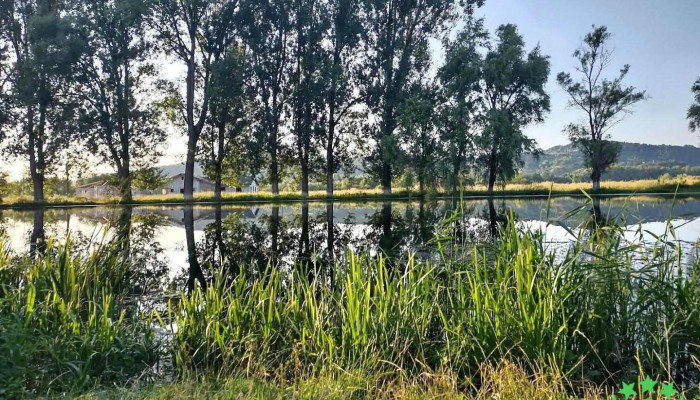 Lacul Teplita - Sighetu Marmației