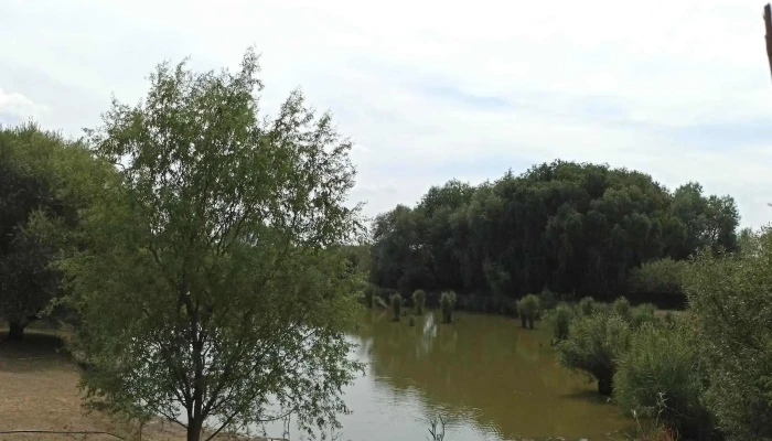 Lacul Tiream -  Aproape De Mine - Tiream