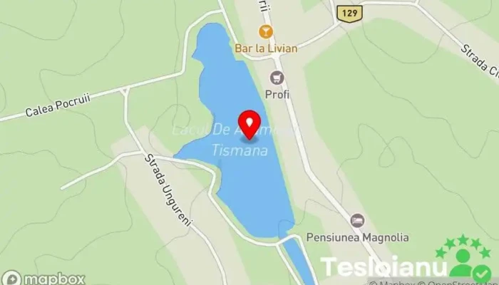 hartă a Lacul Tismana Lac în Tismana