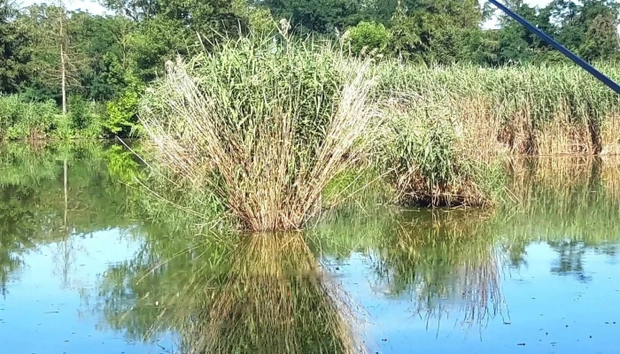 Lacul Verde Sancraiu De Mures -  Instagram - Sâncraiu De Mureș