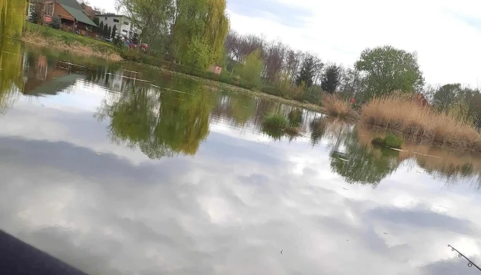 Lacul Verde Sancraiu De Mures -  Scor - Sâncraiu De Mureș