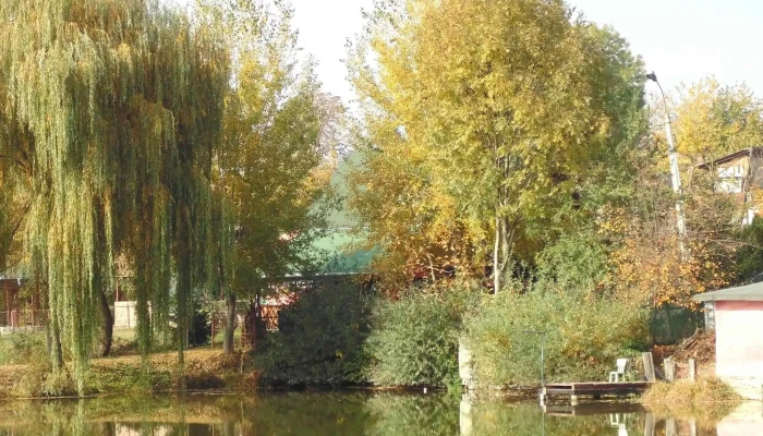 Lacul Verde Sancraiu De Mures -  Telefon - Sâncraiu De Mureș